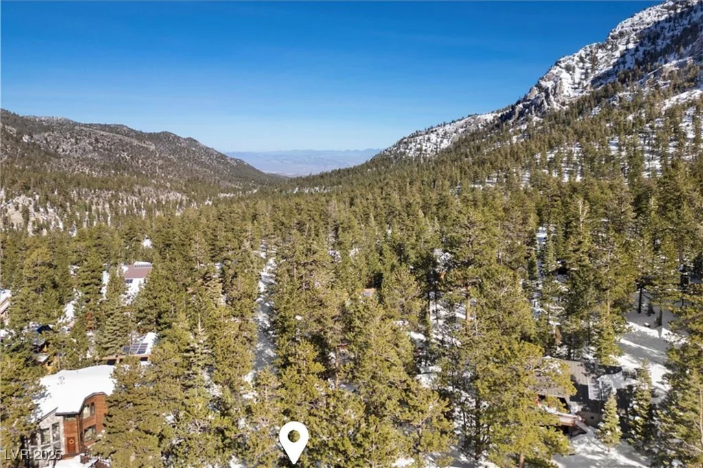 2130 Via Vita, Mount Charleston, NV 89124
