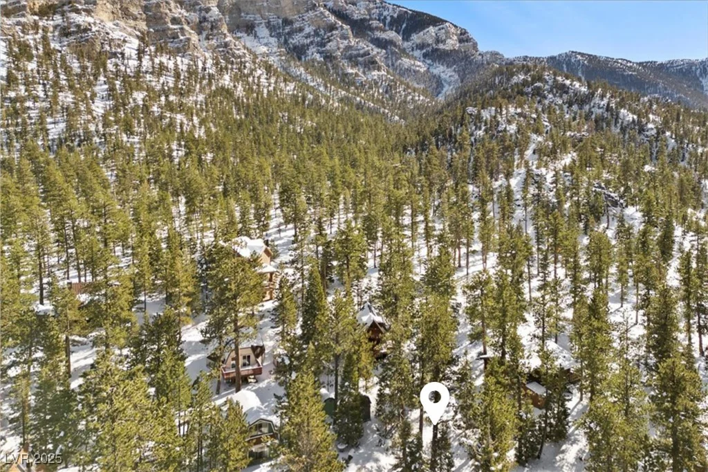 2130 Via Vita, Mount Charleston, NV 89124
