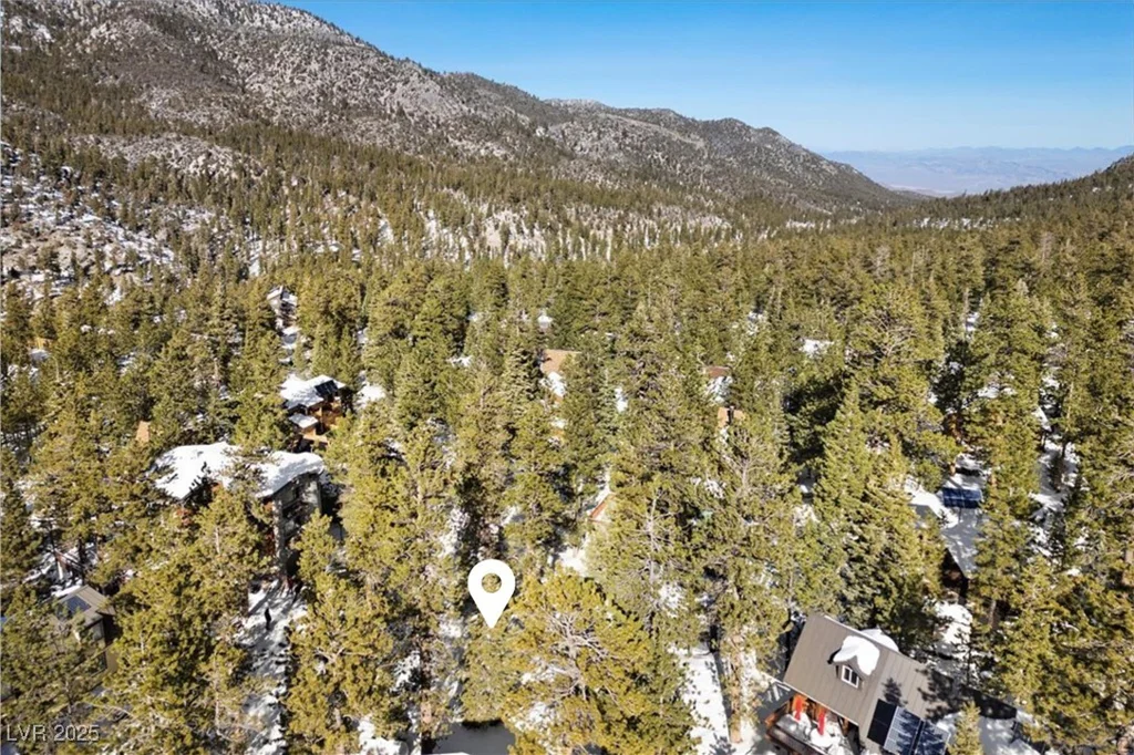 2130 Via Vita, Mount Charleston, NV 89124