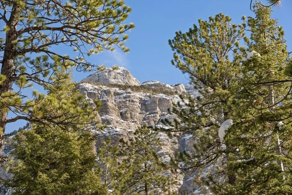 2130 Via Vita, Mount Charleston, NV 89124