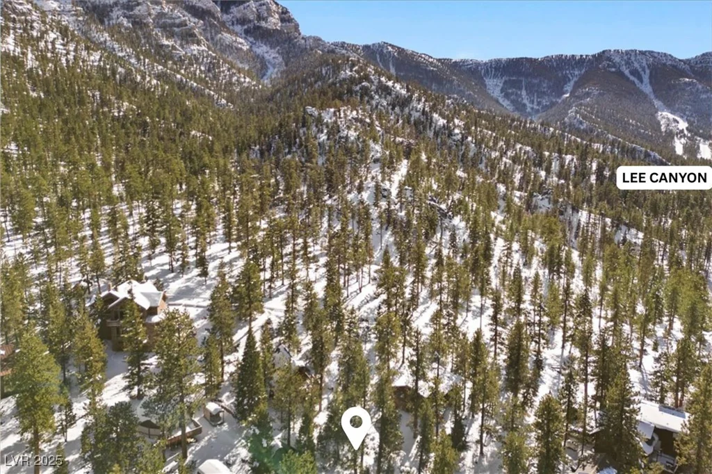 2130 Via Vita, Mount Charleston, NV 89124