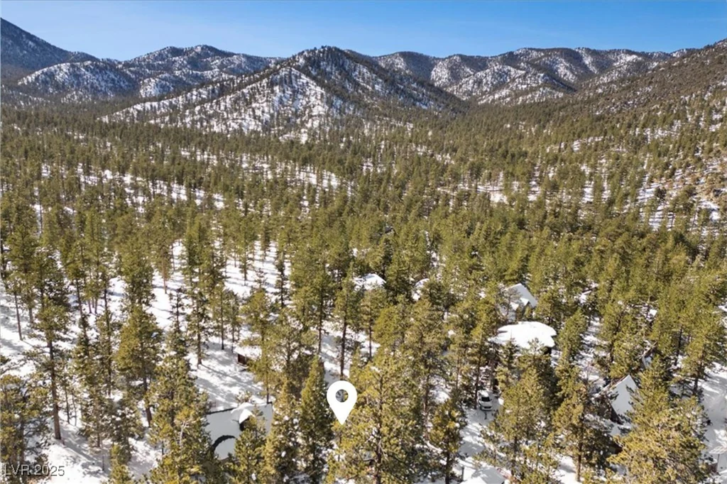 2130 Via Vita, Mount Charleston, NV 89124