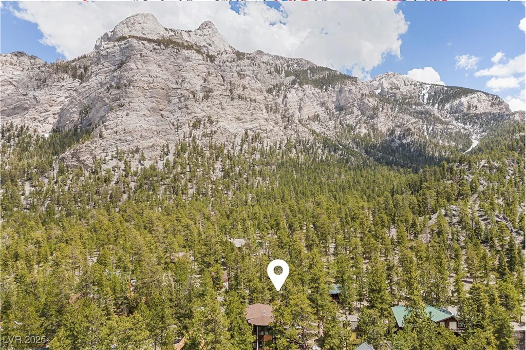 2130 Via Vita, Mount Charleston, NV 89124