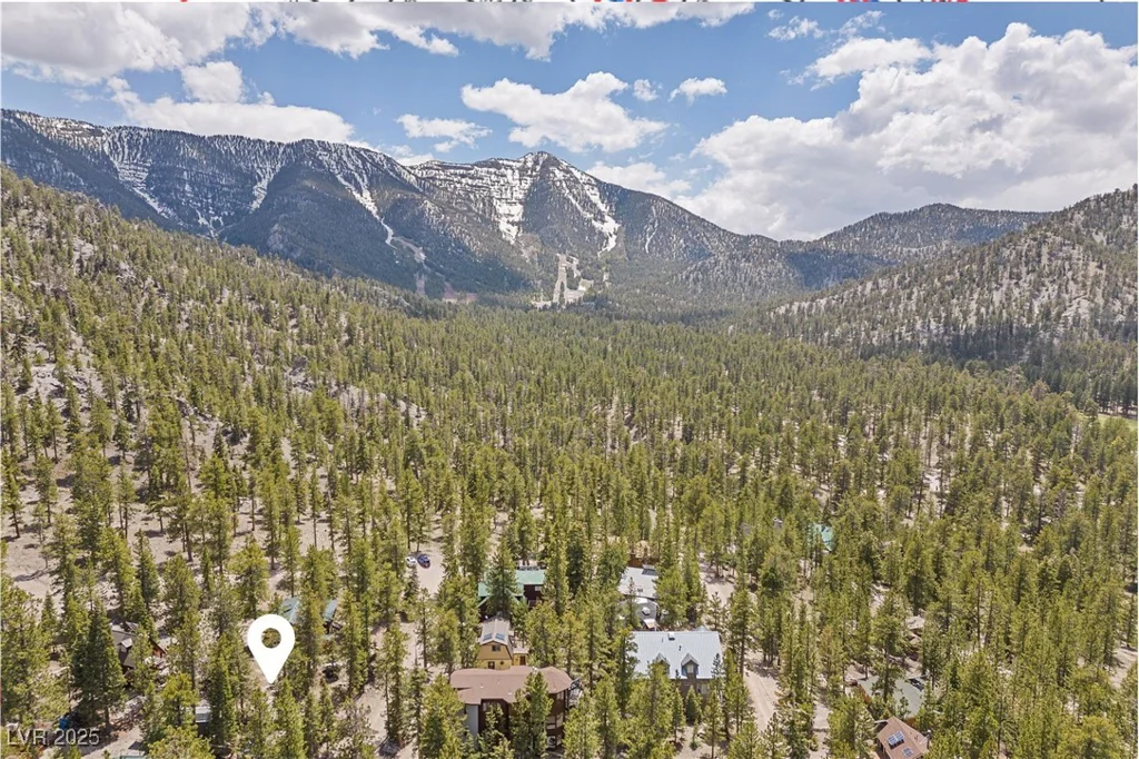 2130 Via Vita, Mount Charleston, NV 89124