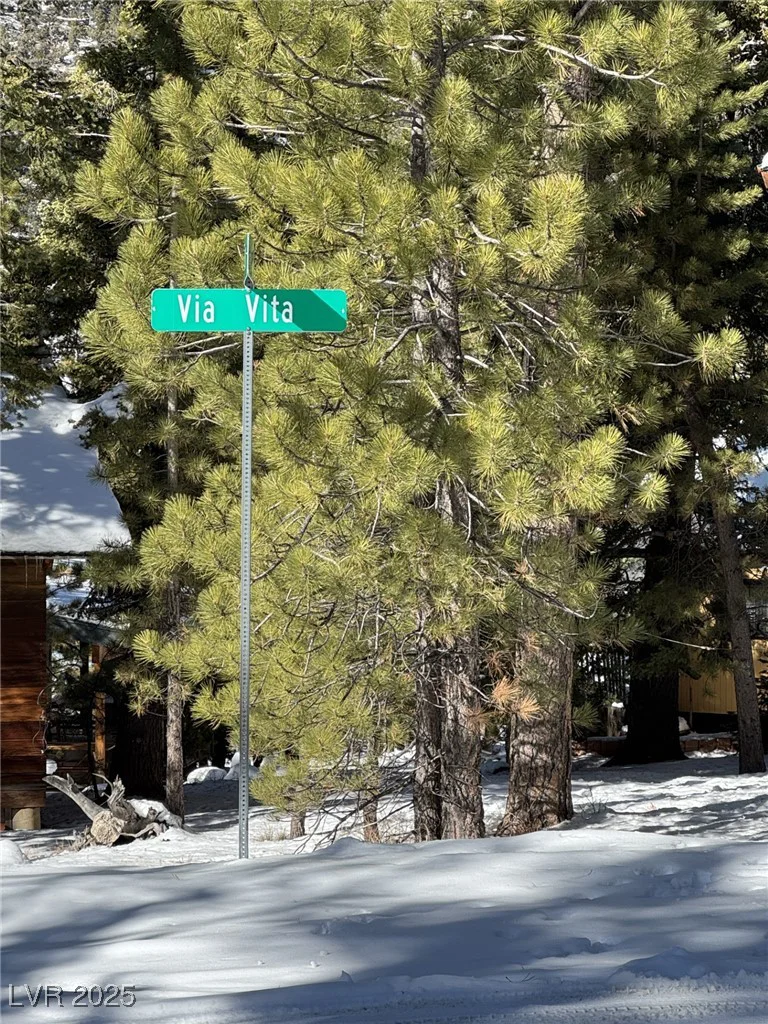 2130 Via Vita, Mount Charleston, NV 89124