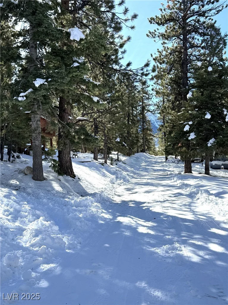2130 Via Vita, Mount Charleston, NV 89124
