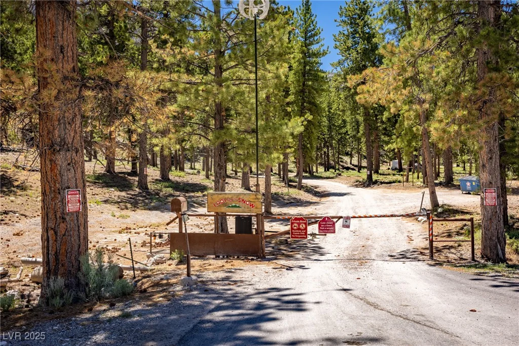 2130 Via Vita, Mount Charleston, NV 89124