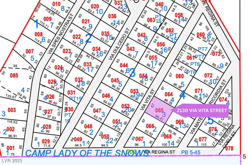 2130 Via Vita, Mount Charleston, NV 89124