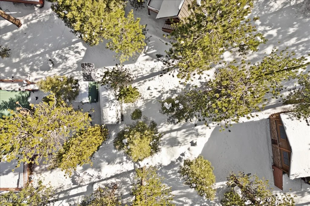 2130 Via Vita, Mount Charleston, NV 89124