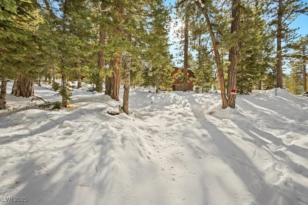 2130 Via Vita, Mount Charleston, NV 89124