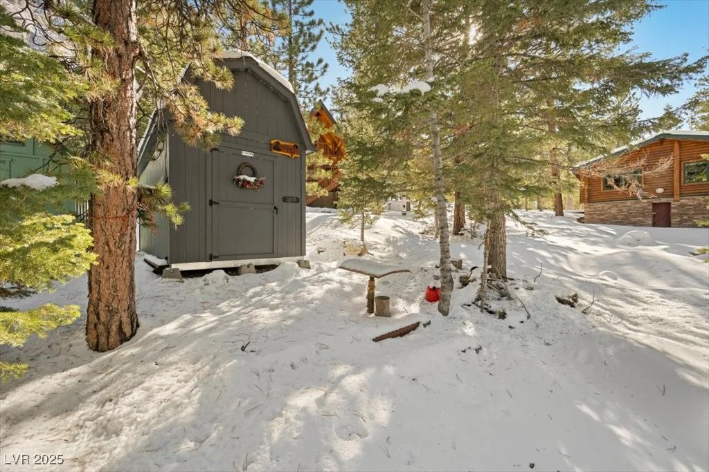 2130 Via Vita, Mount Charleston, NV 89124
