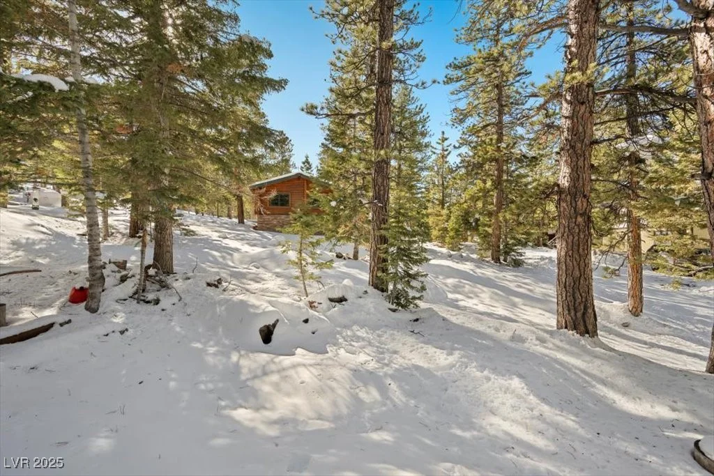 2130 Via Vita, Mount Charleston, NV 89124