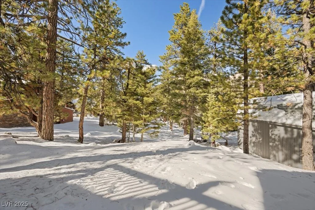 2130 Via Vita, Mount Charleston, NV 89124