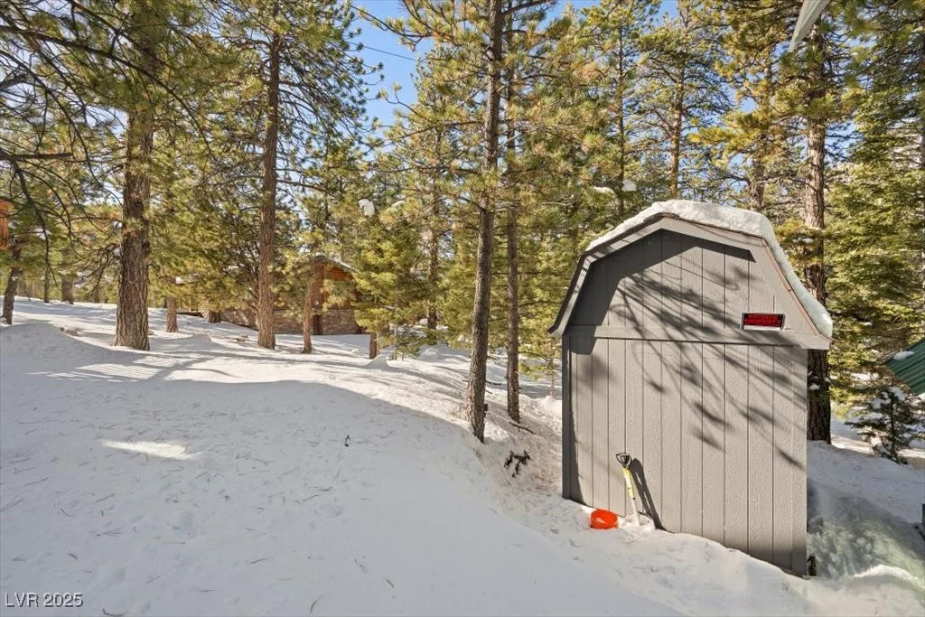 2130 Via Vita, Mount Charleston, NV 89124