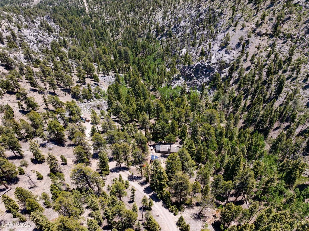 4085 Cougar Ridge, Mount Charleston, NV 89124