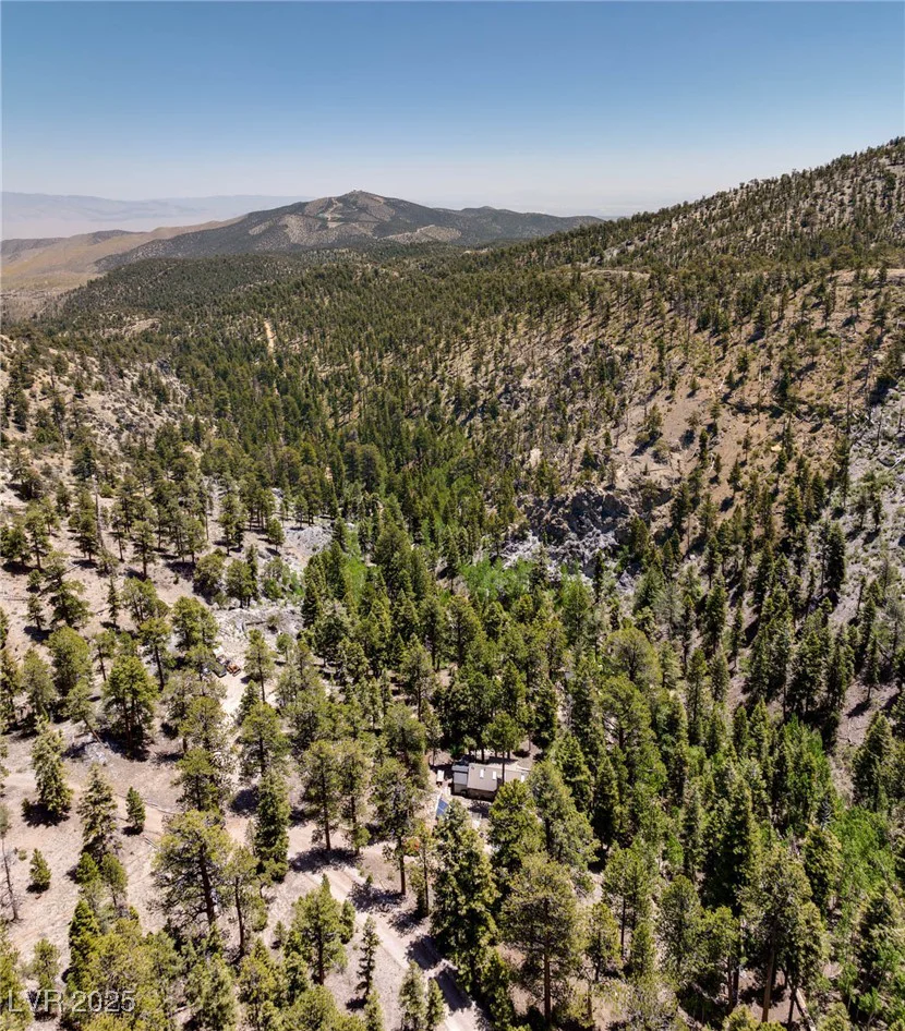 4085 Cougar Ridge, Mount Charleston, NV 89124