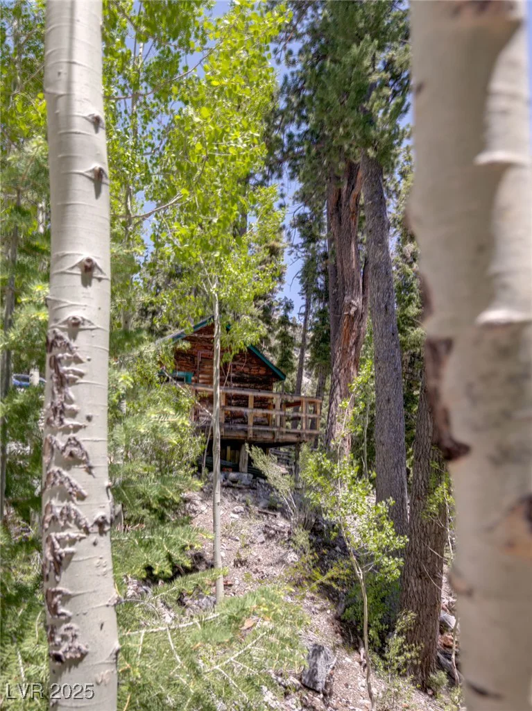 4085 Cougar Ridge, Mount Charleston, NV 89124