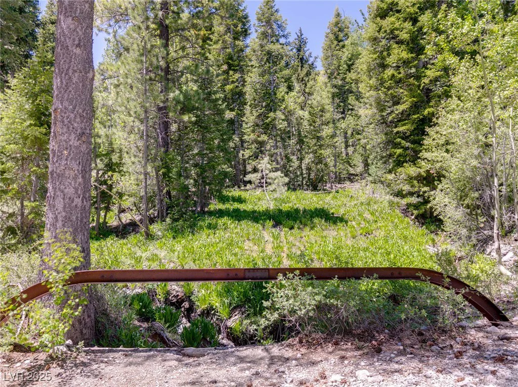 4085 Cougar Ridge, Mount Charleston, NV 89124