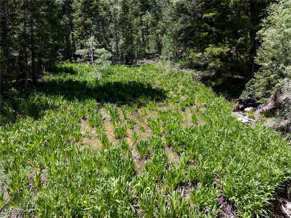 4085 Cougar Ridge, Mount Charleston, NV 89124