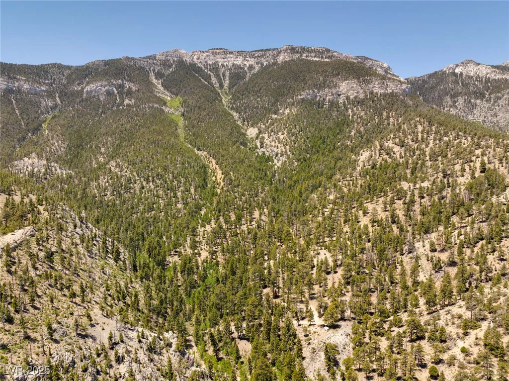 4085 Cougar Ridge, Mount Charleston, NV 89124