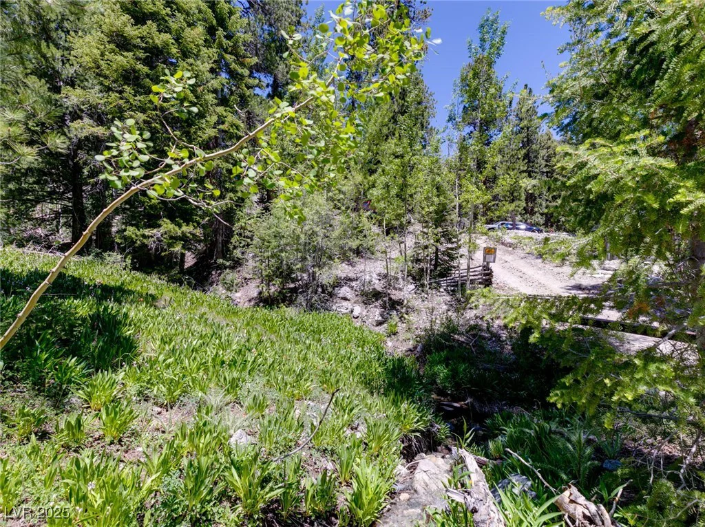 4085 Cougar Ridge, Mount Charleston, NV 89124