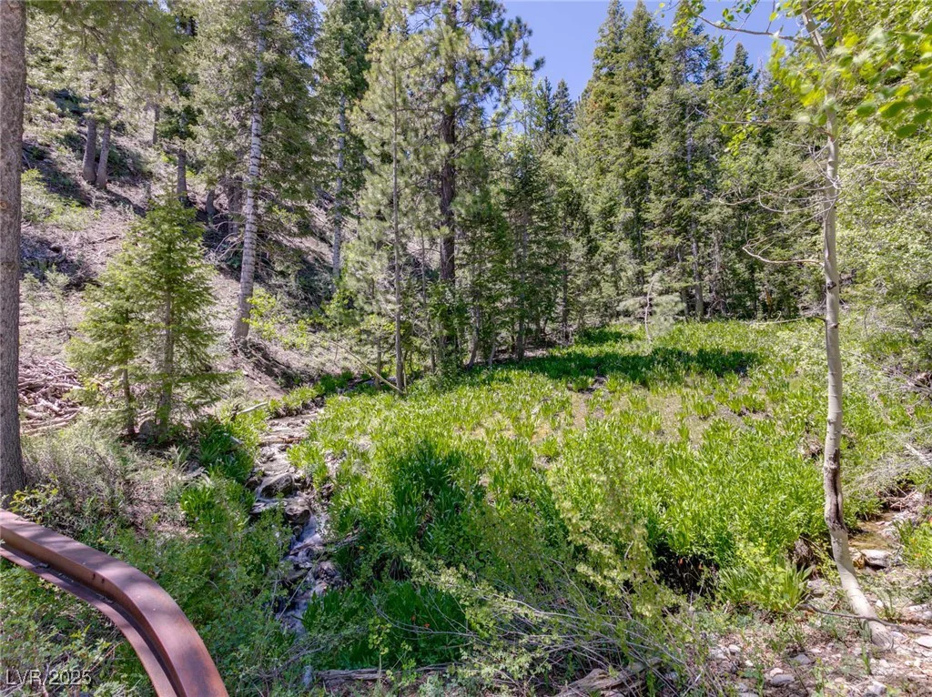 4085 Cougar Ridge, Mount Charleston, NV 89124