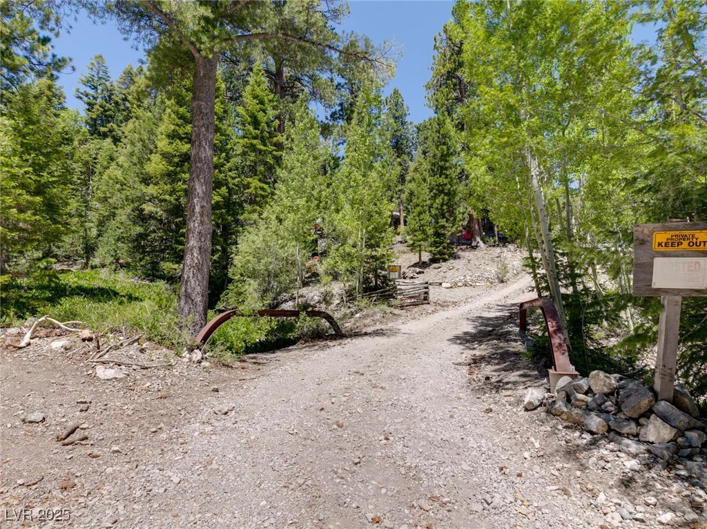 4085 Cougar Ridge, Mount Charleston, NV 89124