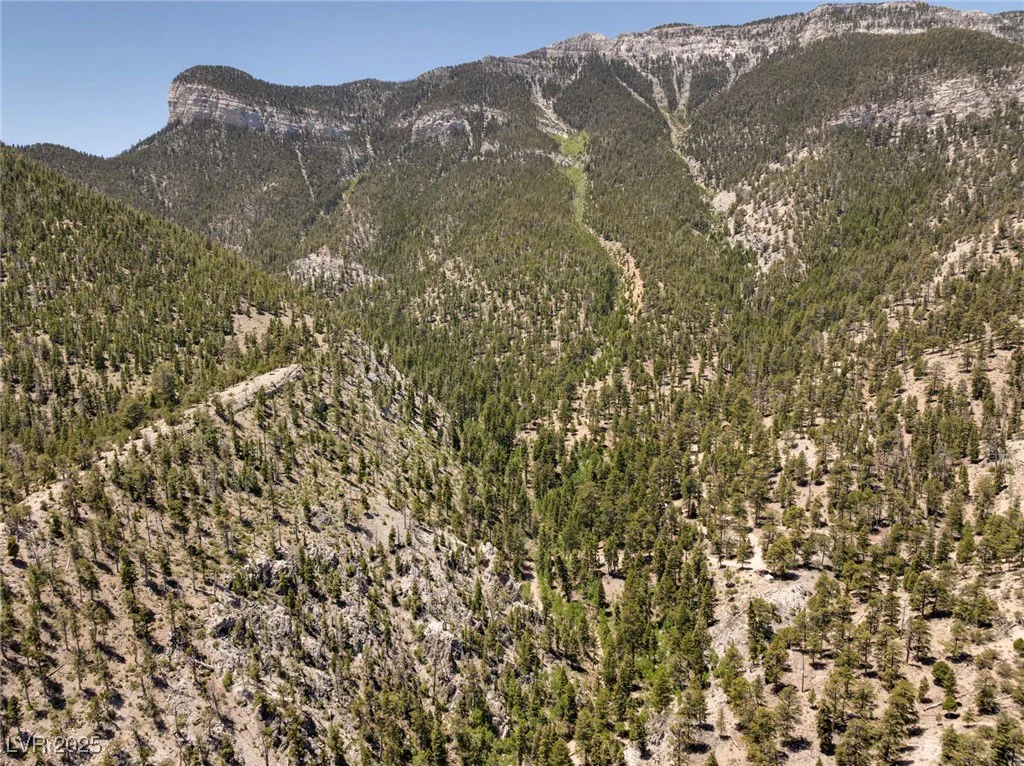 4085 Cougar Ridge, Mount Charleston, NV 89124