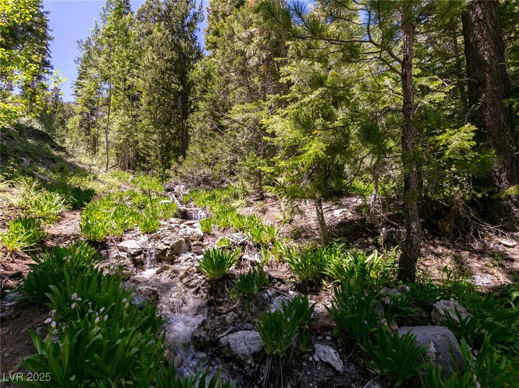 4085 Cougar Ridge, Mount Charleston, NV 89124