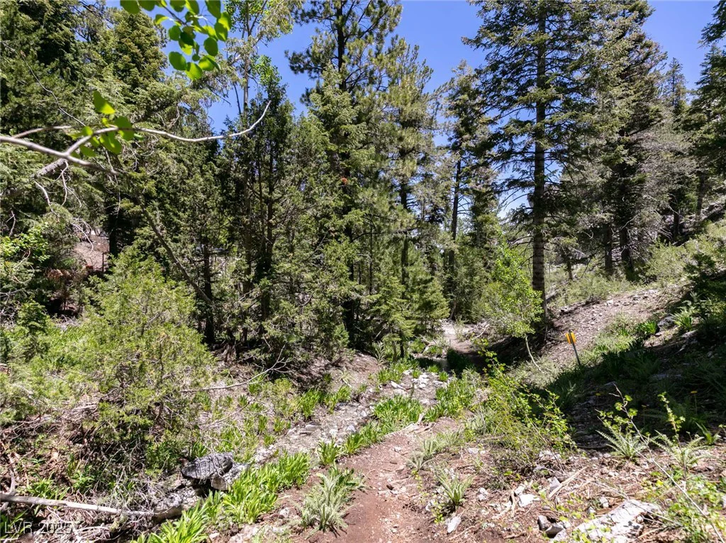 4085 Cougar Ridge, Mount Charleston, NV 89124