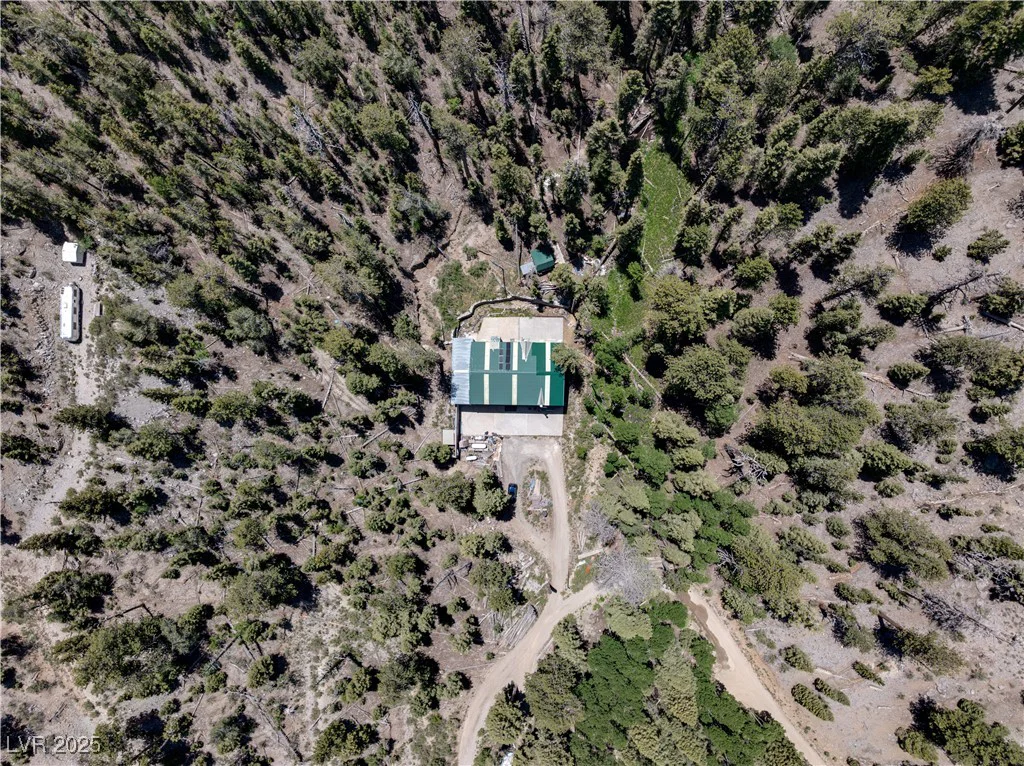 4085 Cougar Ridge, Mount Charleston, NV 89124