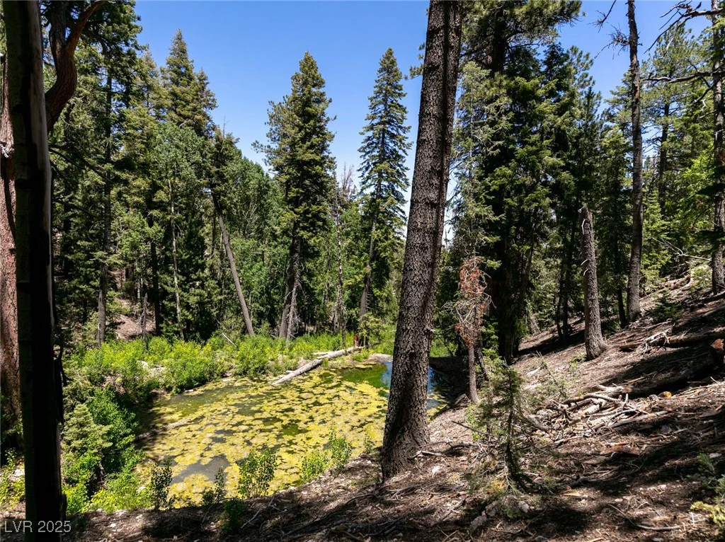 4085 Cougar Ridge, Mount Charleston, NV 89124