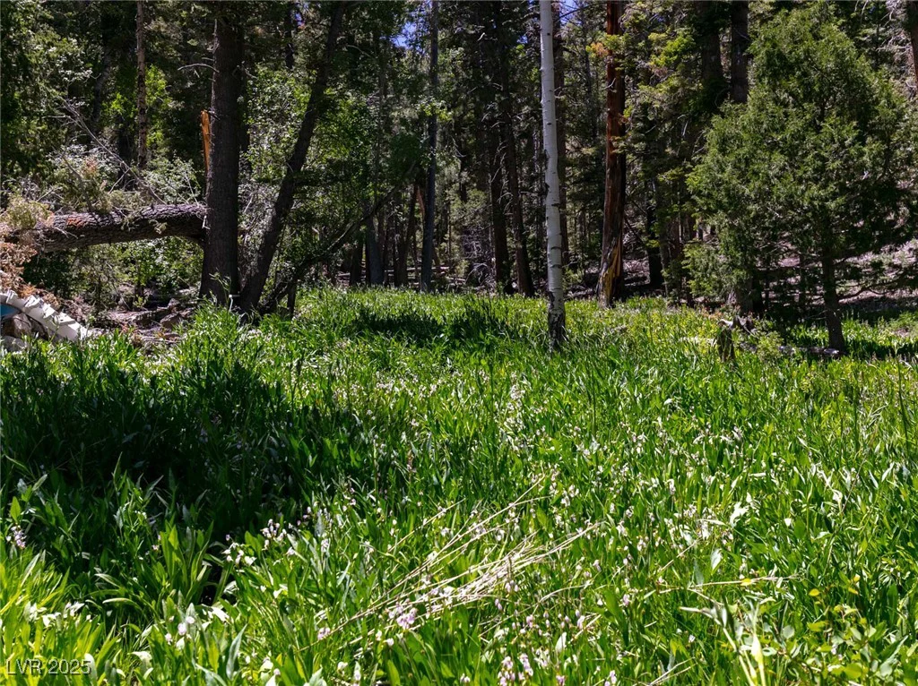 4085 Cougar Ridge, Mount Charleston, NV 89124