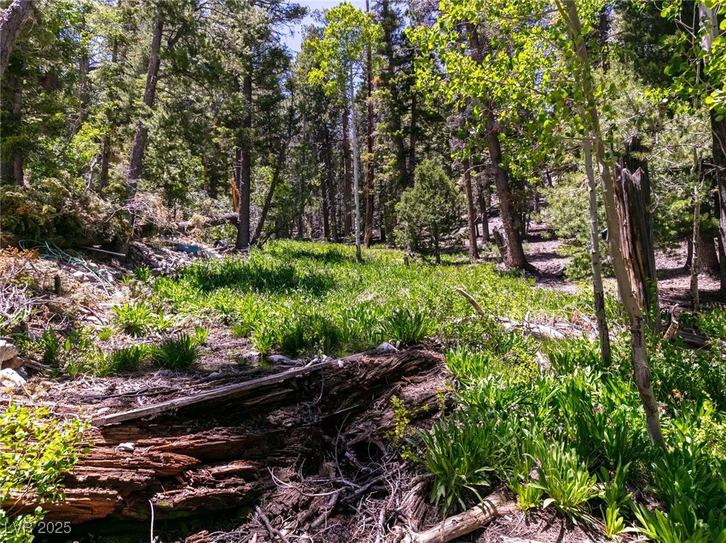 4085 Cougar Ridge, Mount Charleston, NV 89124