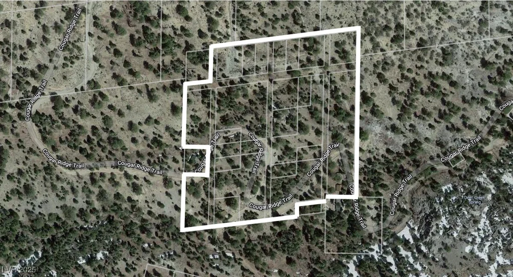 4085 Cougar Ridge, Mount Charleston, NV 89124