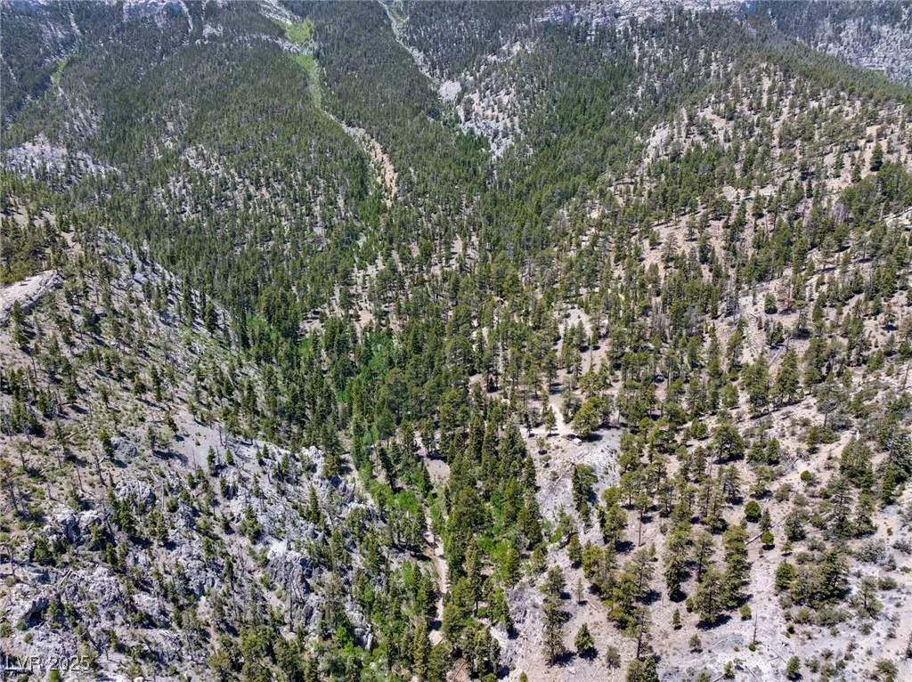 4085 Cougar Ridge, Mount Charleston, NV 89124