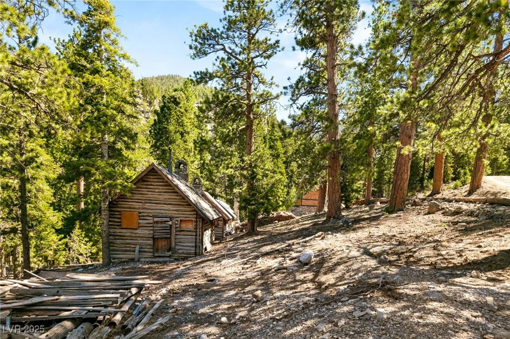 4085 Cougar Ridge, Mount Charleston, NV 89124