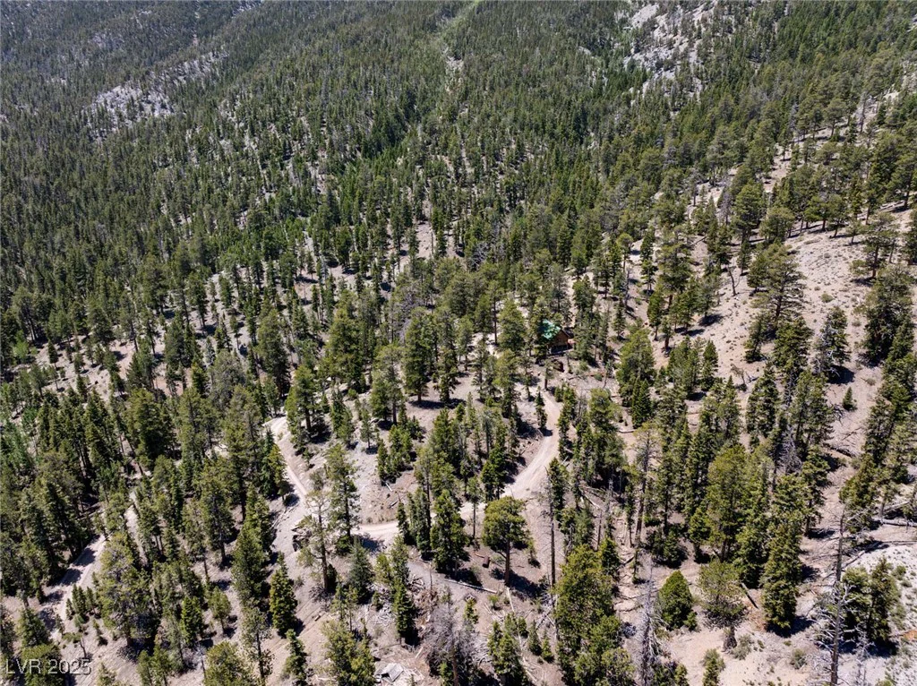 4085 Cougar Ridge, Mount Charleston, NV 89124