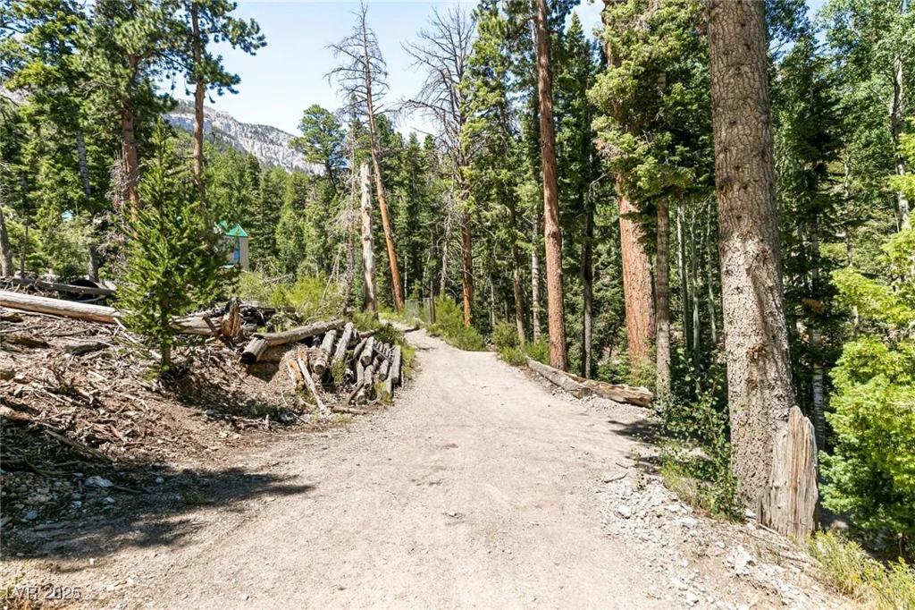 APN 128-07-201-017 N Fork Deer Creek, Mount Charleston, NV 89124