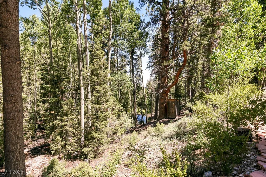 APN 128-07-201-017 N Fork Deer Creek, Mount Charleston, NV 89124