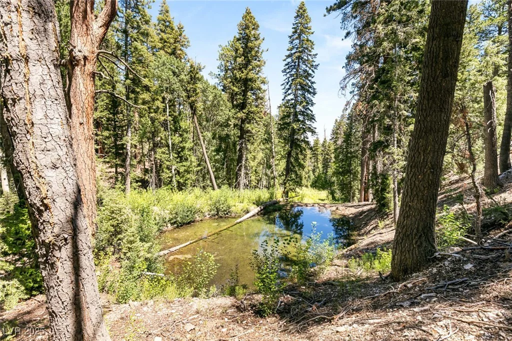 APN 128-07-201-017 N Fork Deer Creek, Mount Charleston, NV 89124