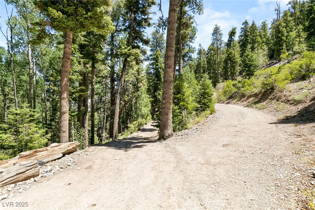 APN 128-07-201-017 N Fork Deer Creek, Mount Charleston, NV 89124