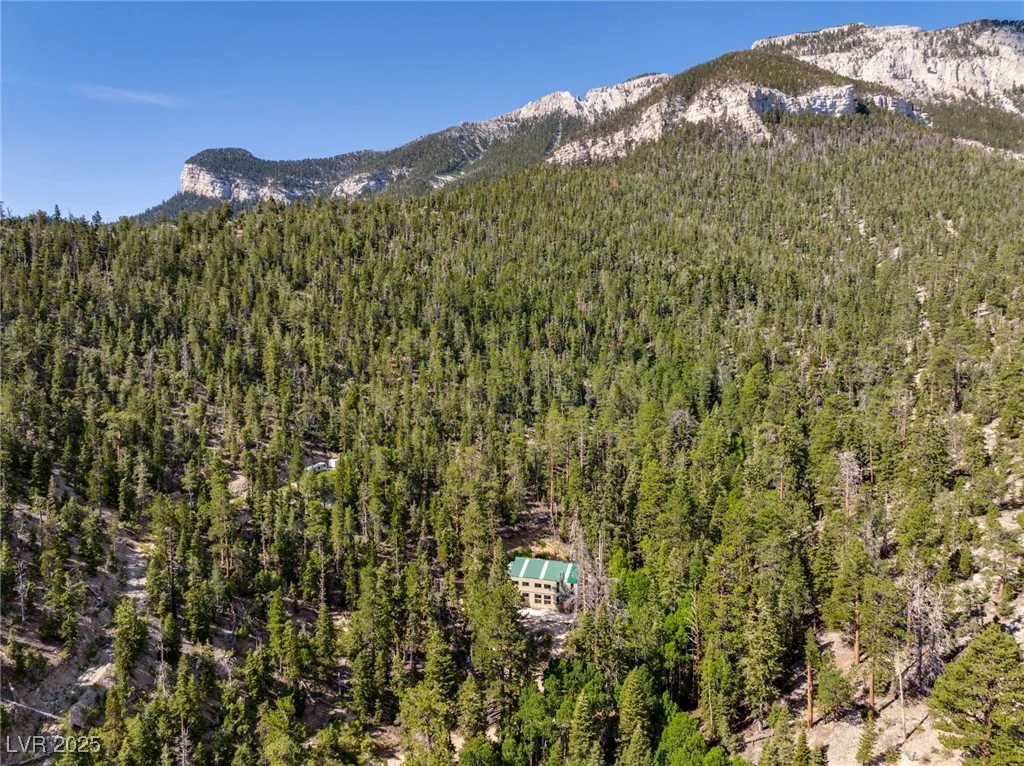 APN 128-07-201-017 N Fork Deer Creek, Mount Charleston, NV 89124