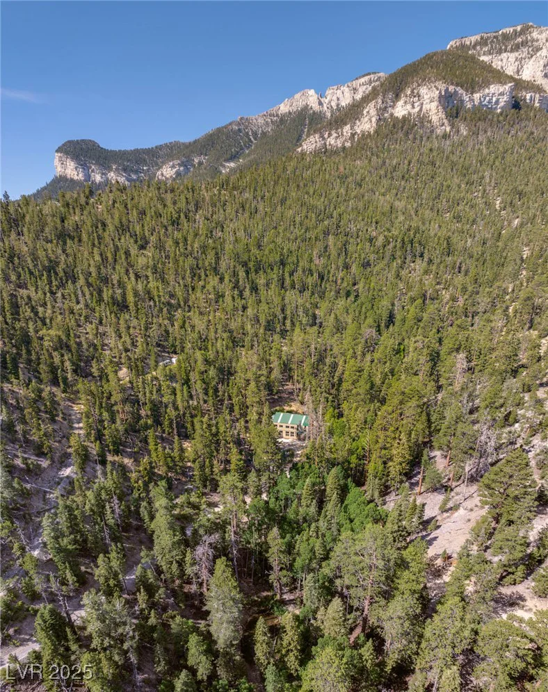 APN 128-07-201-017 N Fork Deer Creek, Mount Charleston, NV 89124