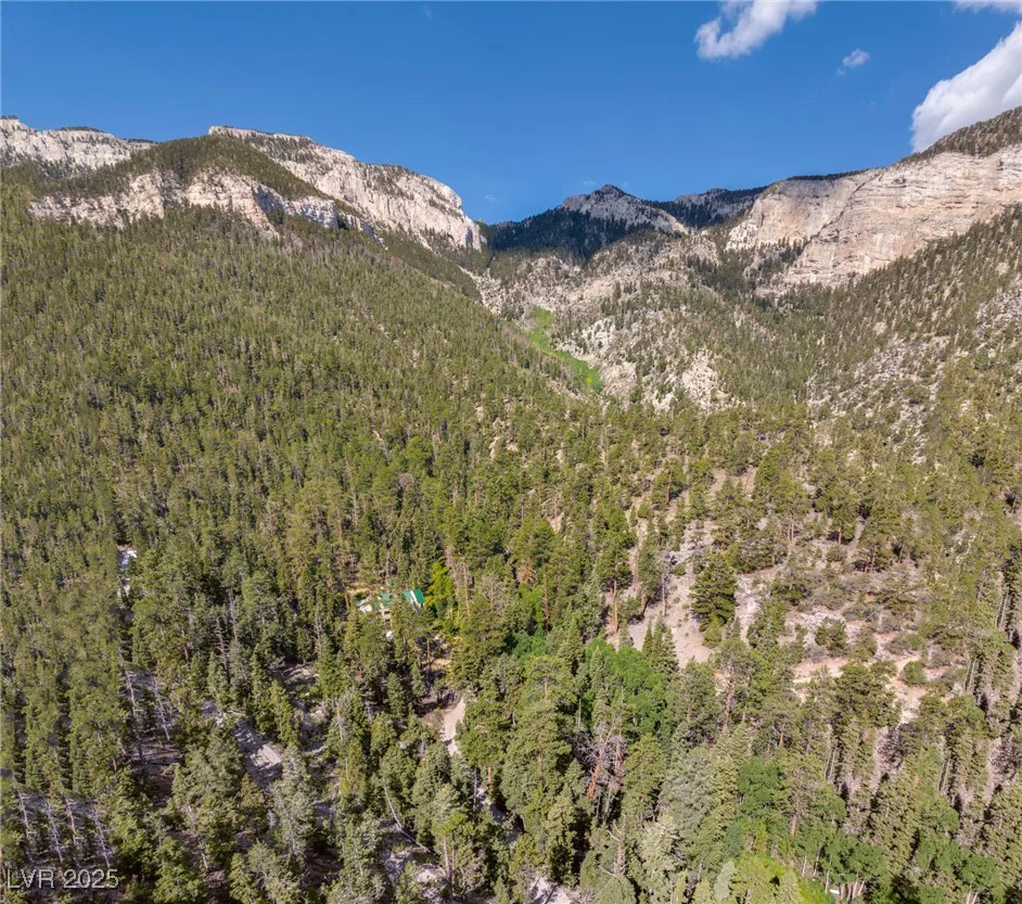 APN 128-07-201-017 N Fork Deer Creek, Mount Charleston, NV 89124