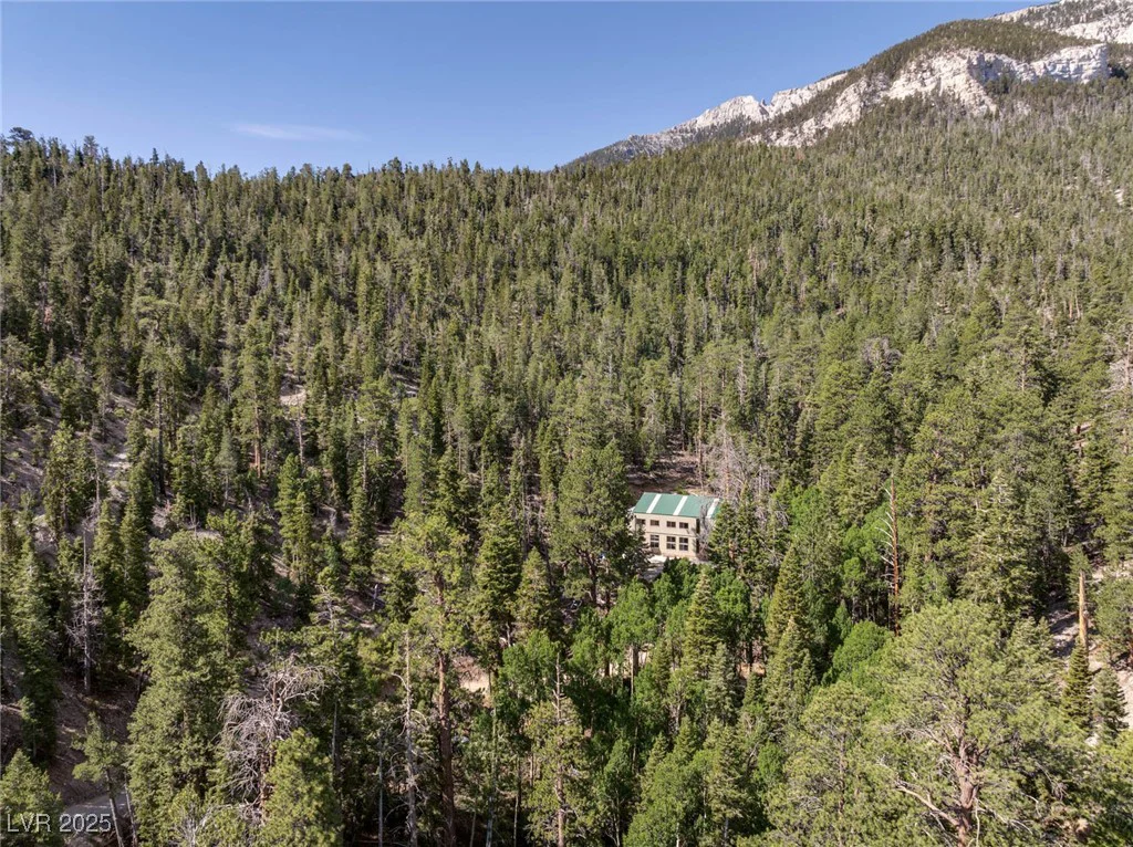APN 128-07-201-017 N Fork Deer Creek, Mount Charleston, NV 89124