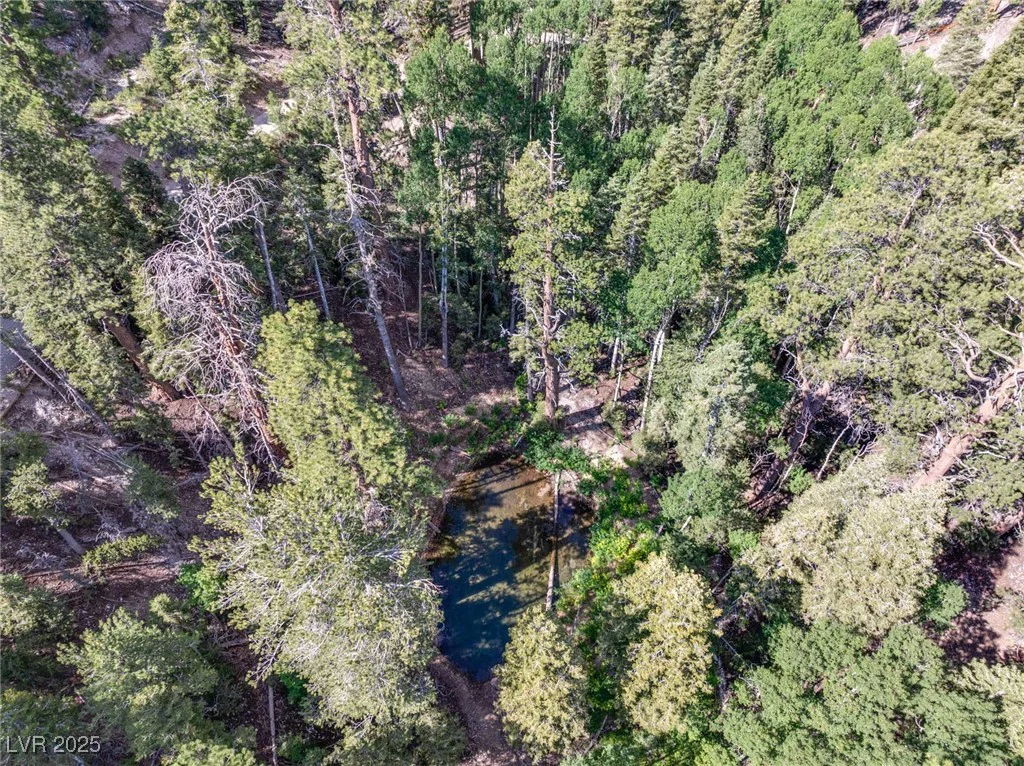 APN 128-07-201-017 N Fork Deer Creek, Mount Charleston, NV 89124