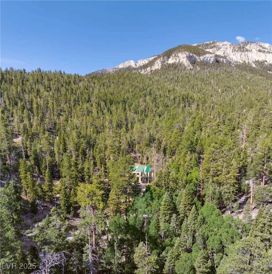 APN 128-07-201-017 N Fork Deer Creek, Mount Charleston, NV 89124