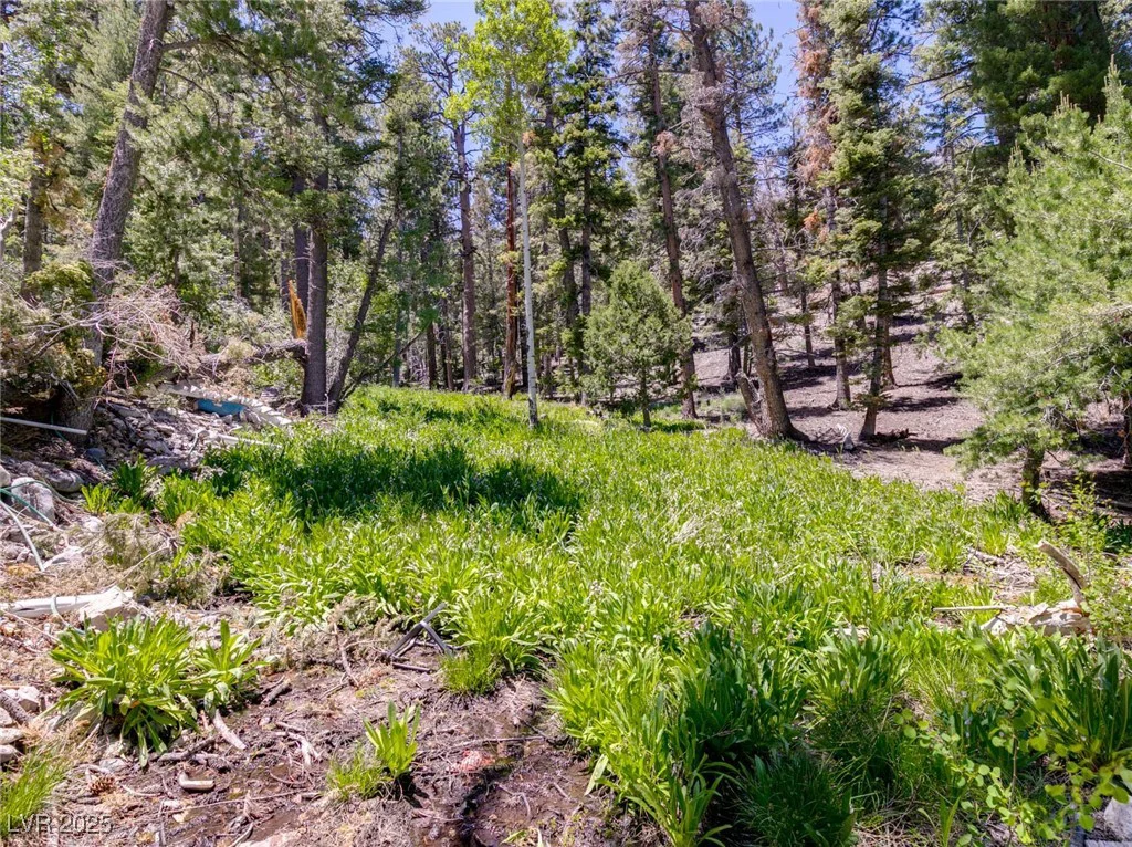 APN 128-07-201-017 N Fork Deer Creek, Mount Charleston, NV 89124