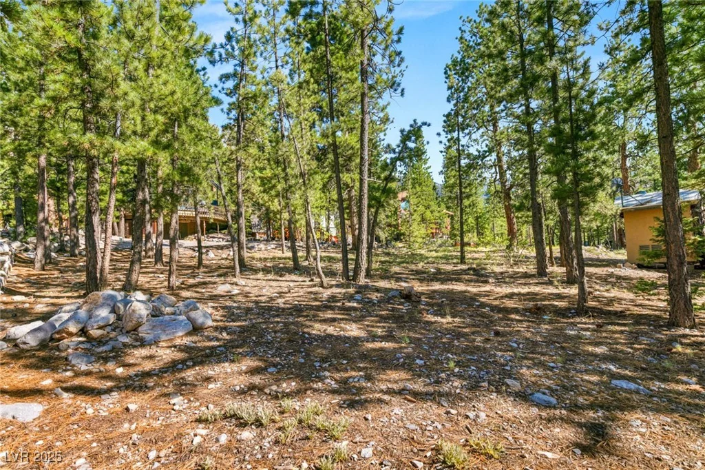2130 Via Spes Nostra, Mount Charleston, NV 89124
